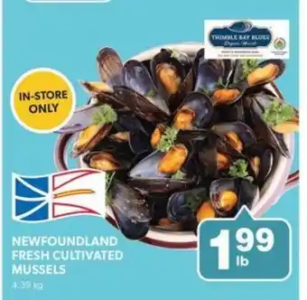 Colemans Newfoundland fresh cultivated mussels offer