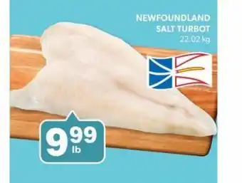 Newfoundland salt turbot