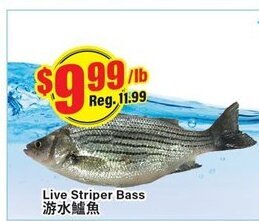 Btrust Supermarket Live striper bass offer