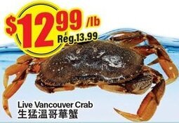 Btrust Supermarket Live vancouver crab offer