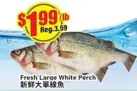Btrust Supermarket Fresh large white perch offer