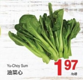 T&T Supermarket Yu-choy Sum offer