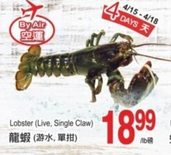 T&T Supermarket Lobster offer