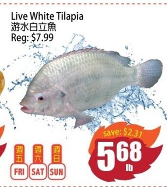 Field Fresh Supermarket Live white Tilapia offer