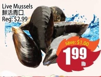 Field Fresh Supermarket Live Mussels offer