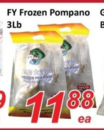 FY Frozen Pompano