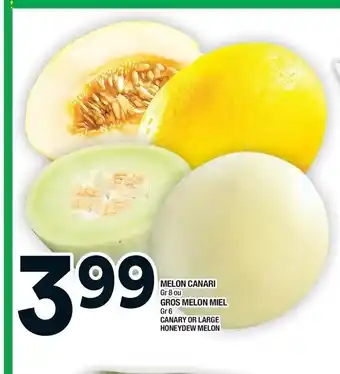 Super C Melon Canari offer