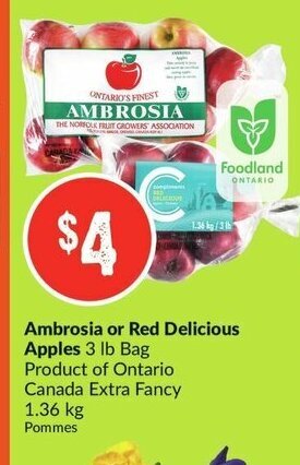 FreshCo Ambrosia or Red Delicious Apples offer