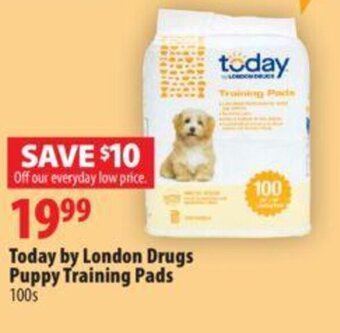 London Drugs Today by london drugs puppy training pads offer