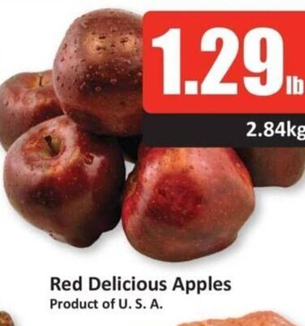 Starsky Red delicious apples offer