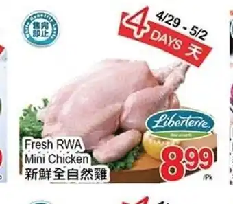 T&T Supermarket Fresh RWA Mini Chicken offer