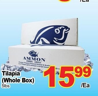 T&T Supermarket Tilapia (Whole Box) offer