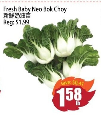 Fresh Baby Neo Bok Choy