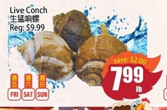 Field Fresh Supermarket Live Conch offer