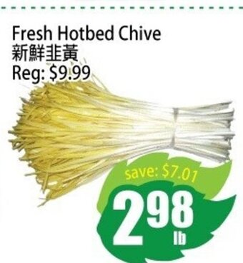Field Fresh Supermarket Fresh Hotbed Chive offer