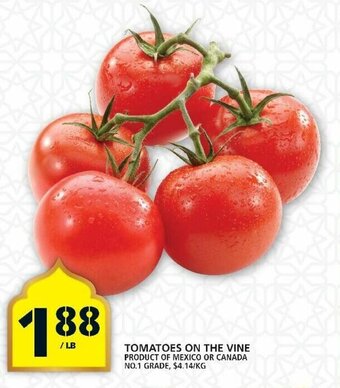 Food Basics Tomatoes On THe Vine offer