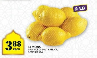 Food Basics Lemons offer