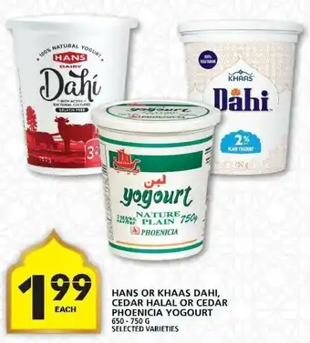 Food Basics Hans or Khaas Dahi, Cedar Halal or Cedar Phoenicia Yogourt offer