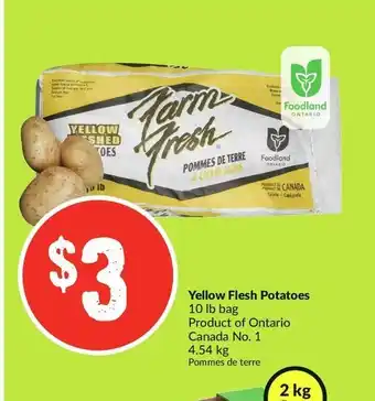 FreshCo Yellow Flesh Potatoes offer