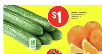 FreshCo Seedless Cucumbers offer