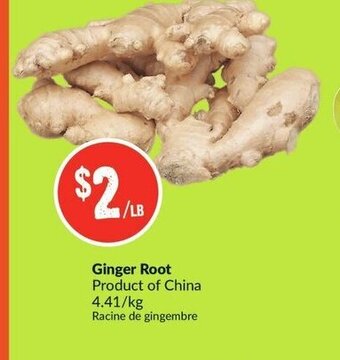 FreshCo Ginger Root offer