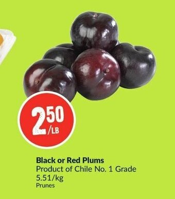 FreshCo Black or Red Plums offer