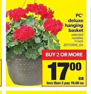 Real Canadian Superstore PC Deluxe Hanging Basket offer