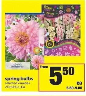 Real Canadian Superstore Spring Bulbs offer