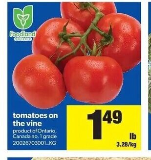 Real Canadian Superstore Tomatoes On The Vine offer