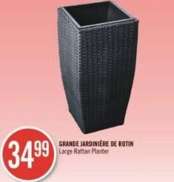 Pharmaprix Grande jardinière de rotin offer