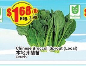 Btrust Supermarket Chinese Broccoli Sprout offer