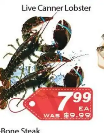 Ample Food Market Live Canner Lobster offer