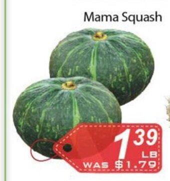 Ample Food Market Mama Squash offer
