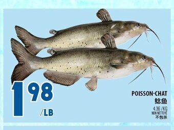 Marché Lian Tai Poisson-Chat offer