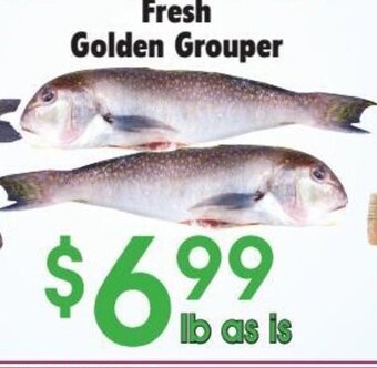 Danforth Food Market Fresh Golden Grouper offer