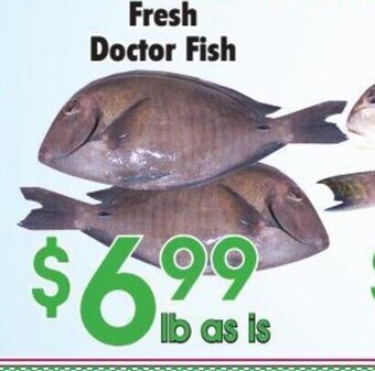 Danforth Food Market Fresh Doctor Fish offer