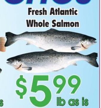 Danforth Food Market Fresh Atlantic Whole Salmon offer