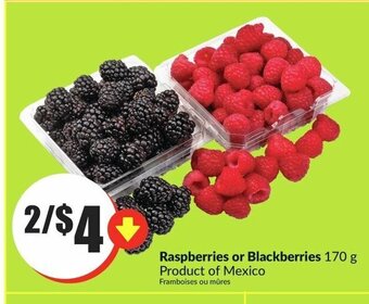 FreshCo Raspberries or Blackberries offer
