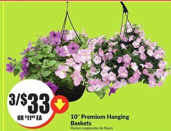 FreshCo 10 Premium Hanging Baskets offer