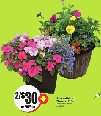 FreshCo Assorted mixed planters offer