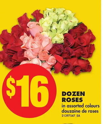 No Frills Dozen roses offer