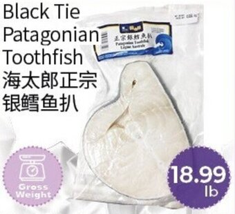 Black tie patagonian toothfish