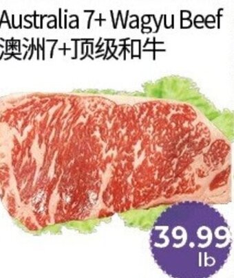 Australia 7+ wagyu beef