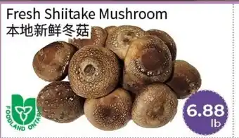 FreshWay Foodmart Fresh Shiitake Mushroom offer