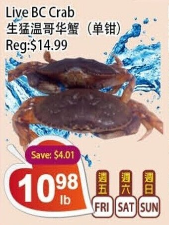 Live BC Crab