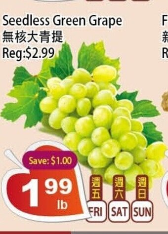 Seedless Green Grape