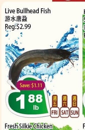Farm Fresh Supermarket Live Bullhead Fish offer