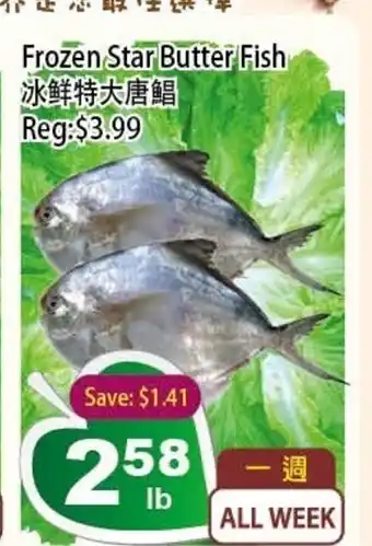 Frozen Star Butter Fish