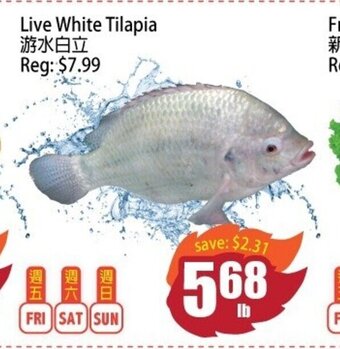 Field Fresh Supermarket Live White Tilapia offer