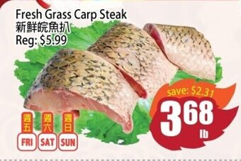 Fresh Grass Carp Steak